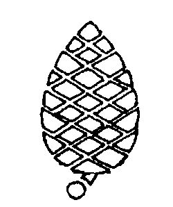 pinecone
